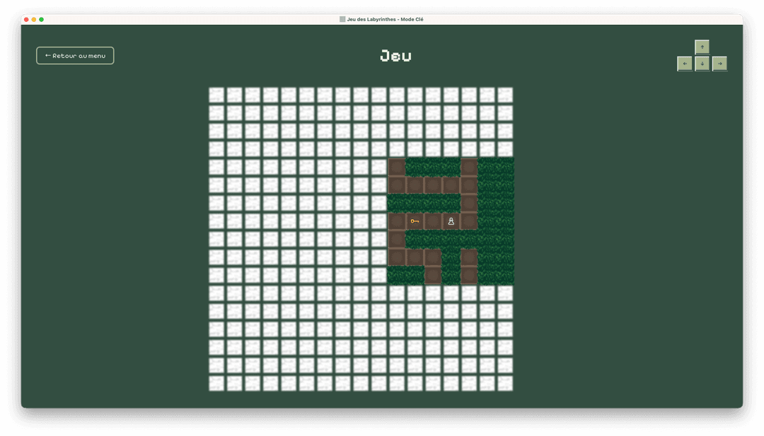 Screenshot representing Le Jeu des Labyrinthes